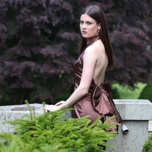 Brown Backless Big Bow Dress